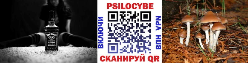 Галлюциногенные грибы GOLDEN TEACHER  Сургут 